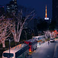 TokyoTower_From_Roppongi_MidTown2.jpg